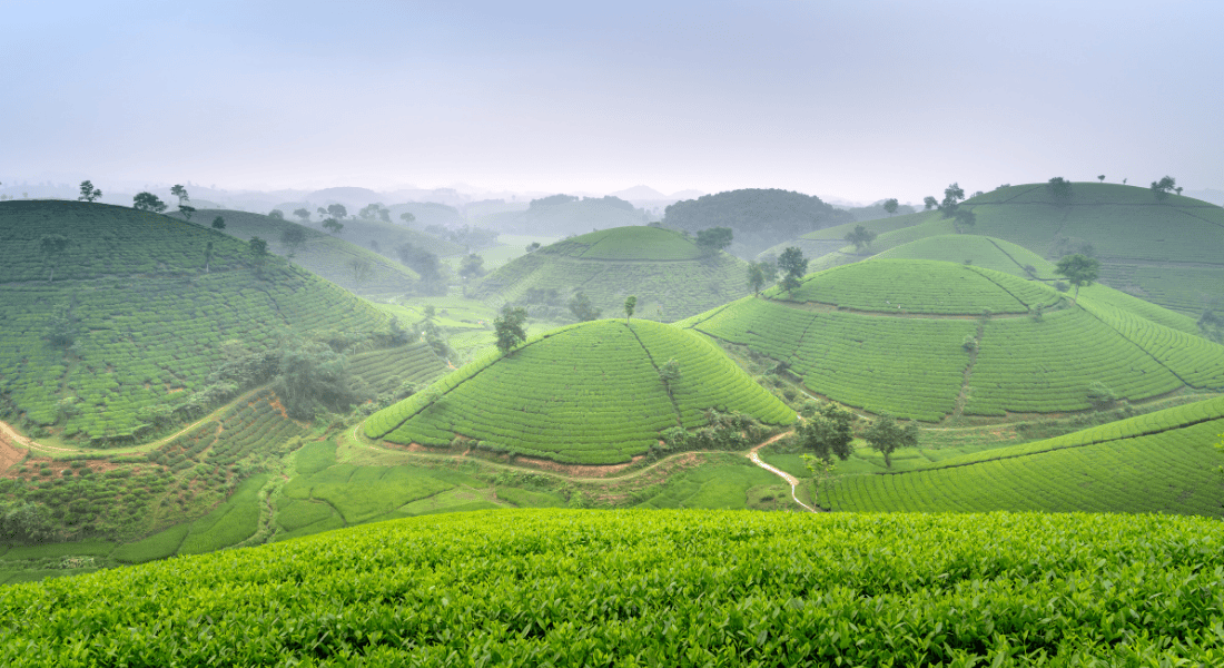 Araku Valley